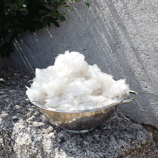 blog_quels_outils_cleaning_5