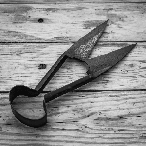 blog_quels_outils_prepa_3