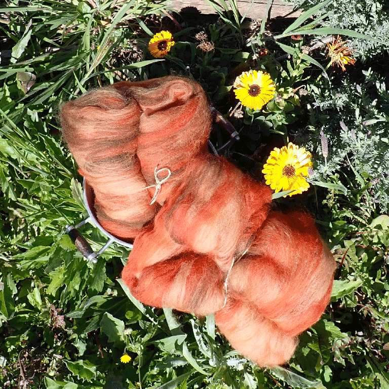fils-et-fibres_carded_gallery_1