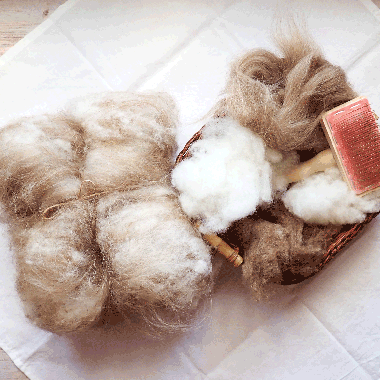 fils-et-fibres_carded_gallery_5